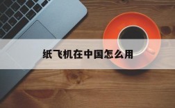 纸飞机在中国怎么用,纸飞机如何使用中国网