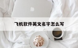 飞机软件英文名字怎么写、飞机软件英文名字怎么写出来