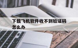 下载飞机软件收不到验证码怎么办,下载飞机软件收不到验证码怎么办呀