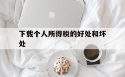 下载个人所得税的好处和坏处、下载个人所得税app有什么好处