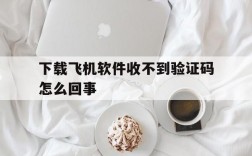 下载飞机软件收不到验证码怎么回事,下载飞机软件收不到验证码怎么回事呀