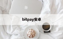 bitpay安卓,bitpay官方下载