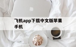 飞机app下载中文版苹果手机、飞机app下载中文版苹果手机怎么下载