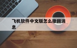 飞机软件中文版怎么撤回消息、飞机聊天软件怎么设置消息通知