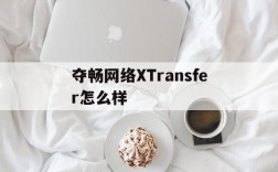 夺畅网络XTransfer怎么样、上海夺畅网络技术有限公司上班怎么样