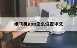 纸飞机app怎么设置中文的简单介绍