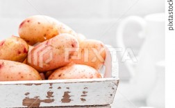 [potato]potato下载入口