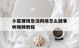 小狐狸钱包没网络怎么回事啊视频教程的简单介绍