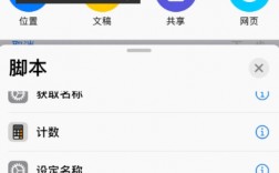 [ios怎么用小飞机app]ios小飞机怎么使用订阅地址