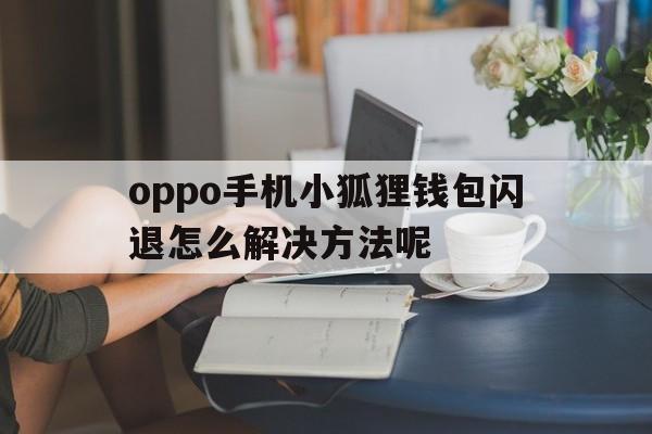 oppo手机小狐狸钱包闪退怎么解决方法呢、oppo手机小狐狸钱包闪退怎么解决方法呢图片