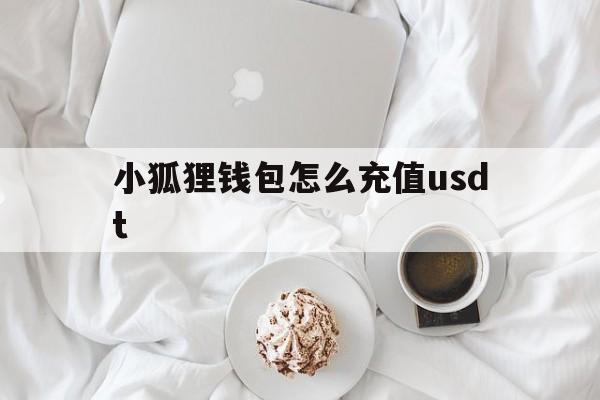 小狐狸钱包怎么充值usdt、小狐狸钱包怎么充值小狐狸钱包怎么充值BNB