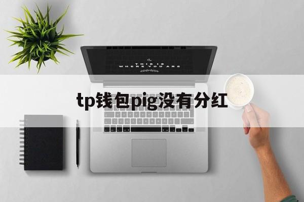 tp钱包pig没有分红、tp钱包没有bnb怎么办