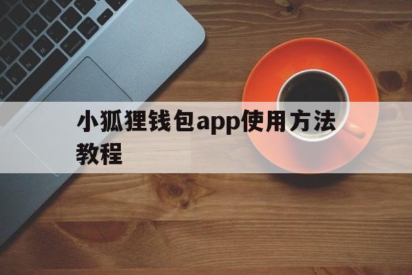 小狐狸钱包app使用方法教程、小狐狸钱包app使用方法教程图片