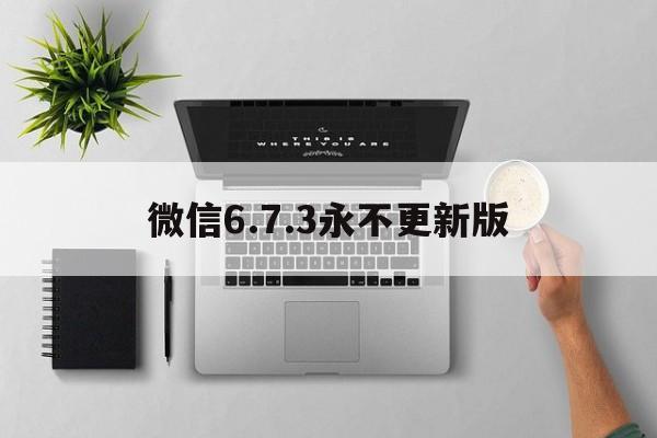 微信6.7.3永不更新版、微信673永不更新版iOS