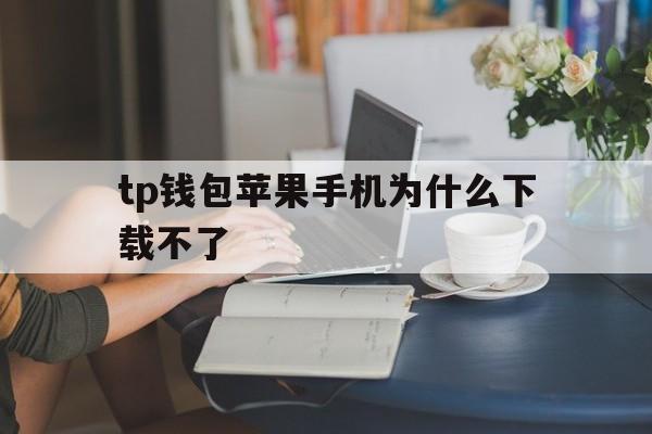 tp钱包苹果手机为什么下载不了的简单介绍