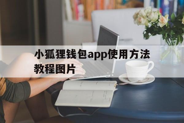 小狐狸钱包app使用方法教程图片、小狐狸钱包app使用方法教程图片视频