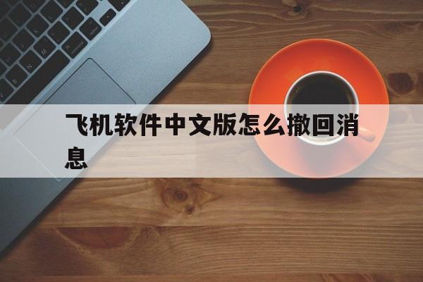 飞机软件中文版怎么撤回消息、飞机聊天软件怎么设置消息通知