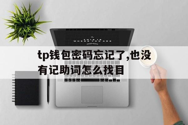 tp钱包密码忘记了,也没有记助词怎么找目的简单介绍