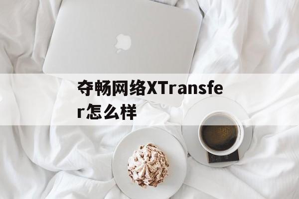 夺畅网络XTransfer怎么样、上海夺畅网络技术有限公司上班怎么样