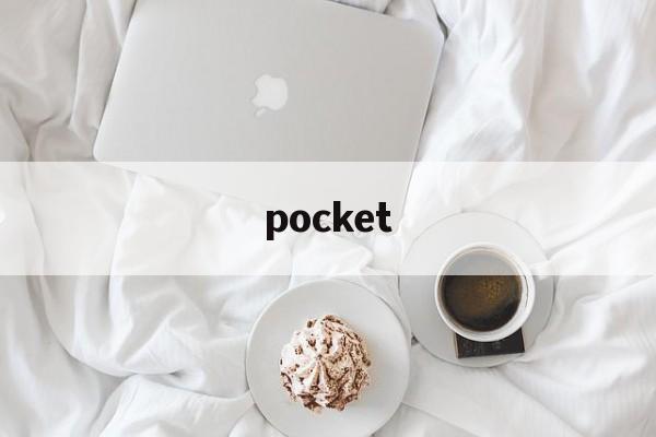 pocket、pockets支持无线充电吗