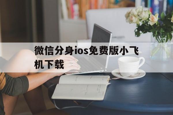 微信分身ios免费版小飞机下载,微信分身ios免费版小飞机下载官网