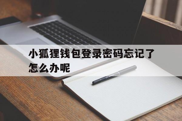 小狐狸钱包登录密码忘记了怎么办呢,小狐狸钱包登录密码忘记了怎么办呢安全吗