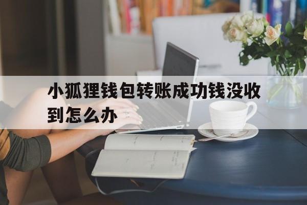 关于小狐狸钱包转账成功钱没收到怎么办的信息