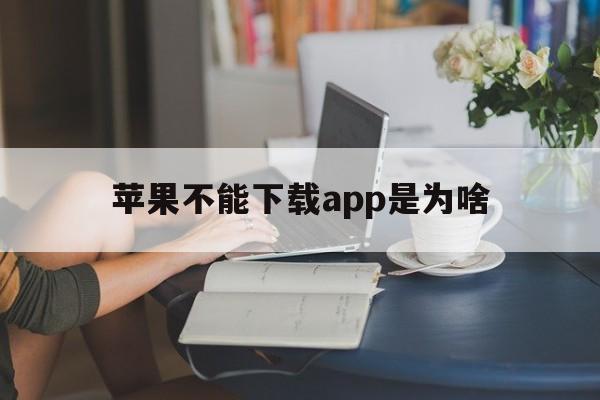 苹果不能下载app是为啥,苹果手机不能下载app的原因