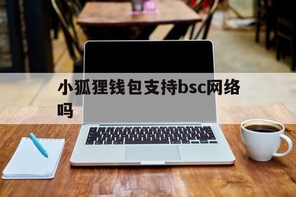 小狐狸钱包支持bsc网络吗,小狐狸钱包怎么添加core网络