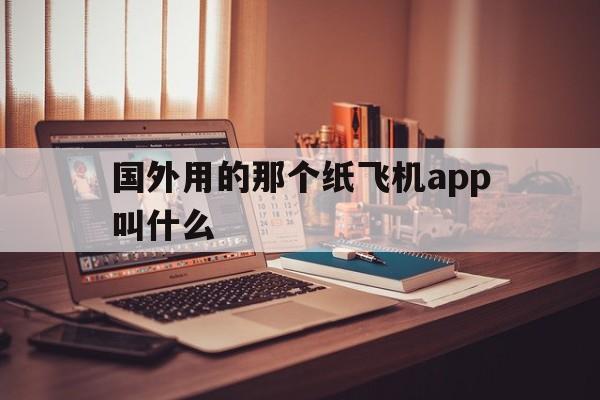 国外用的那个纸飞机app叫什么的简单介绍