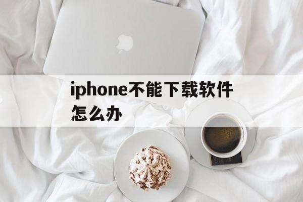 iphone不能下载软件怎么办,苹果手机不能下载app怎么解决方法