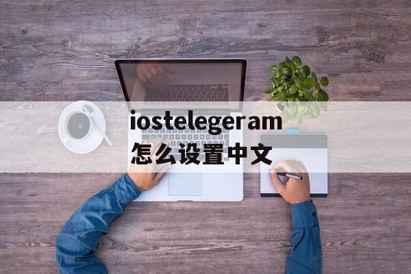 iostelegeram怎么设置中文,iosterraria怎么调成简体中文