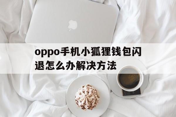 oppo手机小狐狸钱包闪退怎么办解决方法,oppo手机小狐狸钱包闪退怎么办解决方法视频