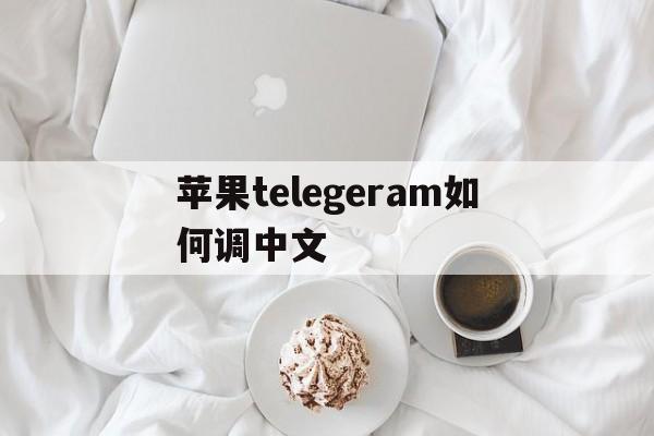 苹果telegeram如何调中文,苹果telegeram怎么弄成中文