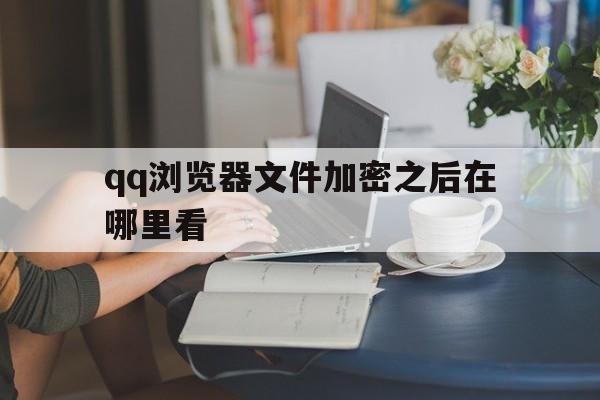 qq浏览器文件加密之后在哪里看,浏览器文件加密之后在哪里看到