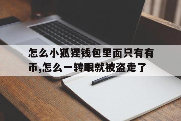 关于怎么小狐狸钱包里面只有有币,怎么一转眼就被盗走了的信息