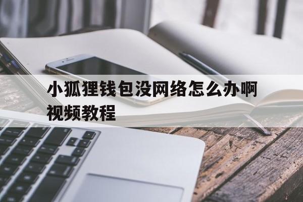 小狐狸钱包没网络怎么办啊视频教程,小狐狸钱包没网络怎么办啊视频教程全集