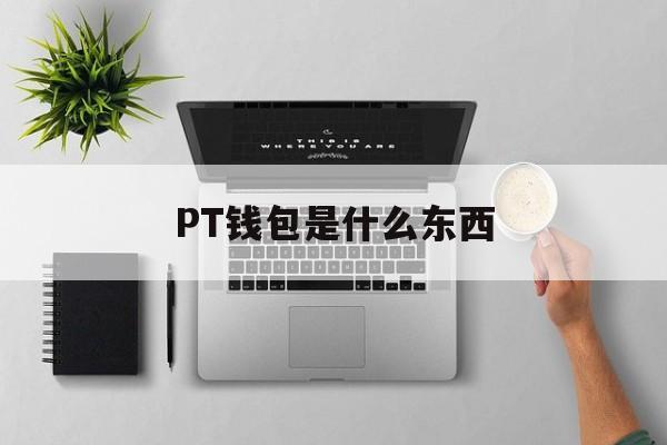 PT钱包是什么东西,pt钱包与plus钱包