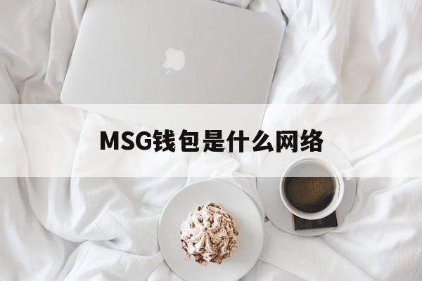 MSG钱包是什么网络,钱包memo是什么意思