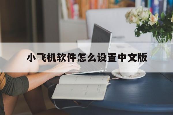 小飞机软件怎么设置中文版,小飞机软件怎么设置中文版下载