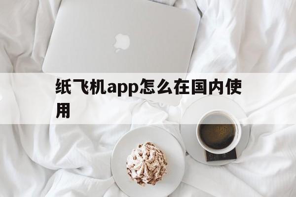 纸飞机app怎么在国内使用,纸飞机这个app国内可以用吗?