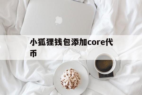 小狐狸钱包添加core代币,小狐狸钱包添加core代币通证小数