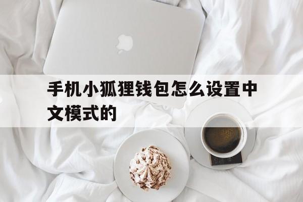 包含手机小狐狸钱包怎么设置中文模式的的词条